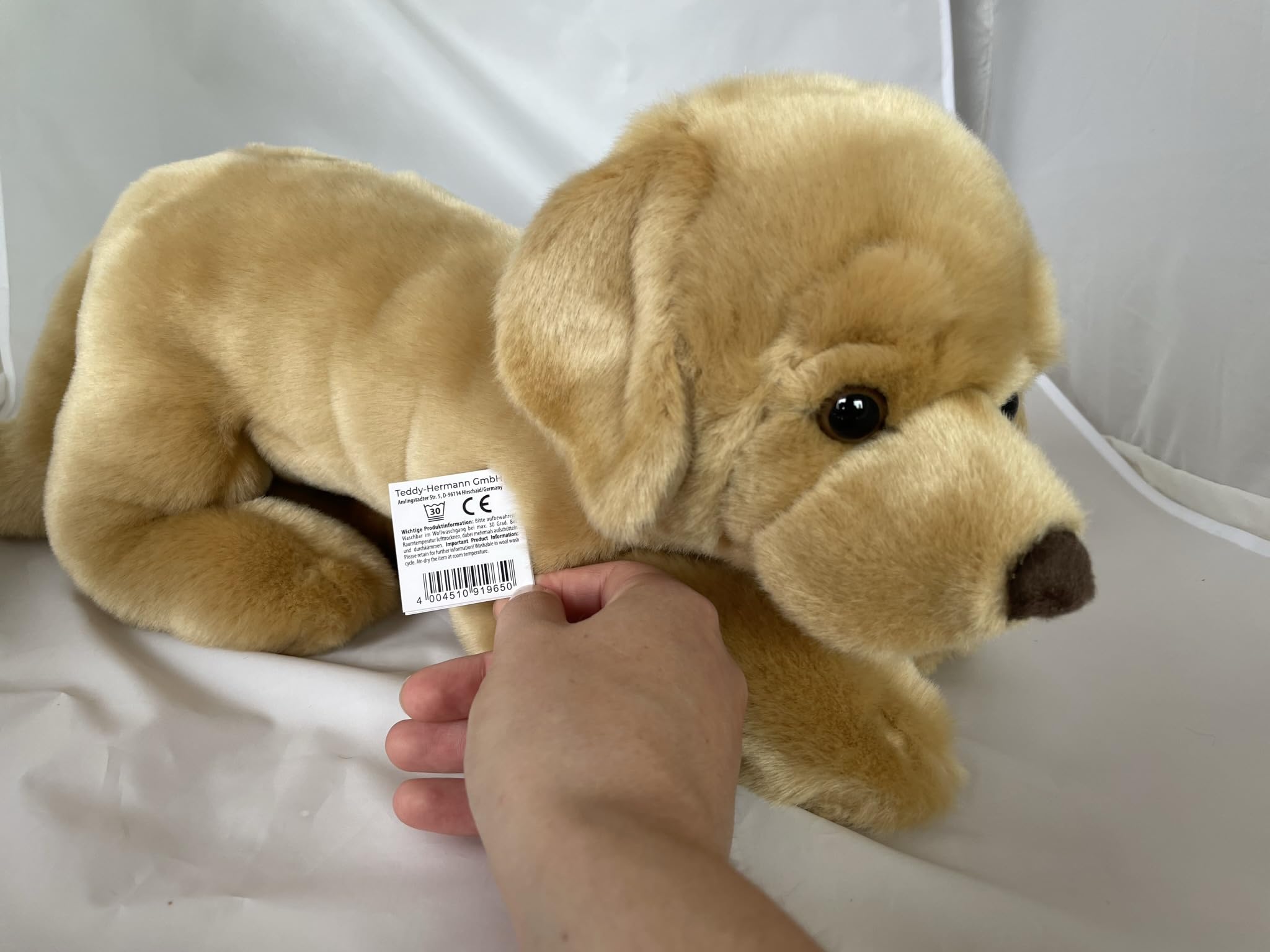 Teddy Hermann Labrador, Cuddly Toy, Plush Toy, Various Sizes/Poses