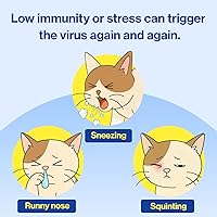 Vista 6 de Doctor By FELYSIN L-lisina para gatos, suplementos de lisina, apoyo inmunológico, alivio de alergias, estornudos, secreción nasal, ojos llorosos