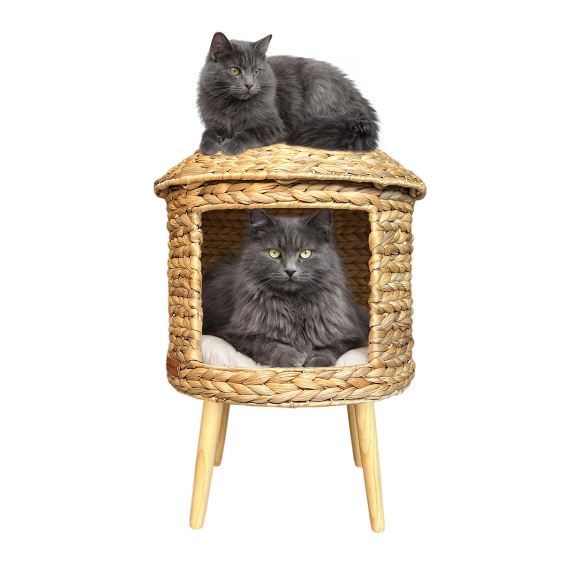 Cabane pour chat en jacinthe d'eau tressée main lit sur pieds