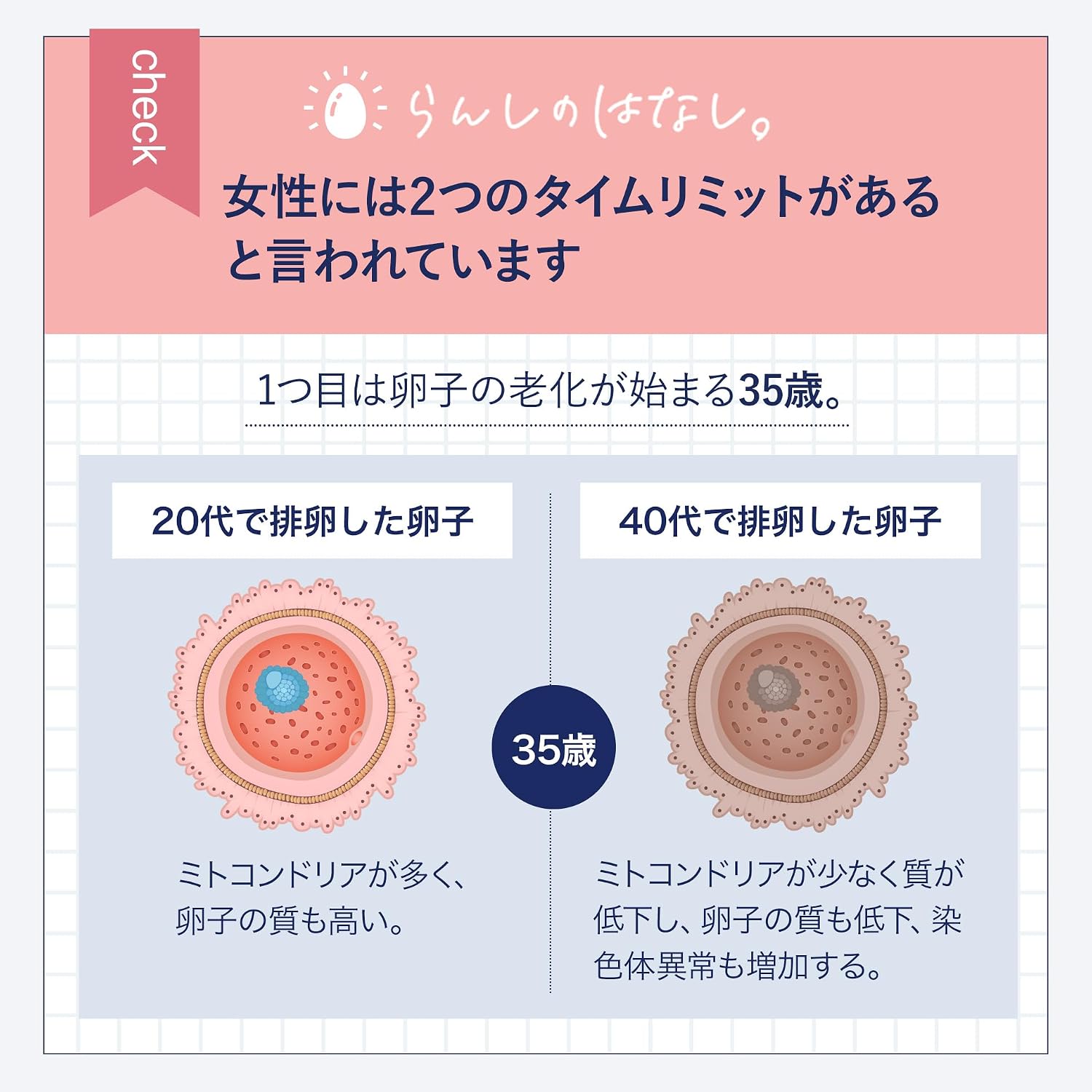 Добавка для ухода за кожей перед зачатием Mitocore Beauty | Содержит коэнзим Q10 + Восточный минерал | Препарат | Диетическая добавка для женщин (28 капсул, ок. Запас на 28 дней), фото 3
