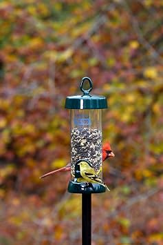 Brome Tube100 Wild Bird Feeder, Metal 2 Seed Ports, 1.7 lb Capacity, Extra-Wide Perches, Easy to Fill & Clean, Pole-Mountable, Seed Tray Available