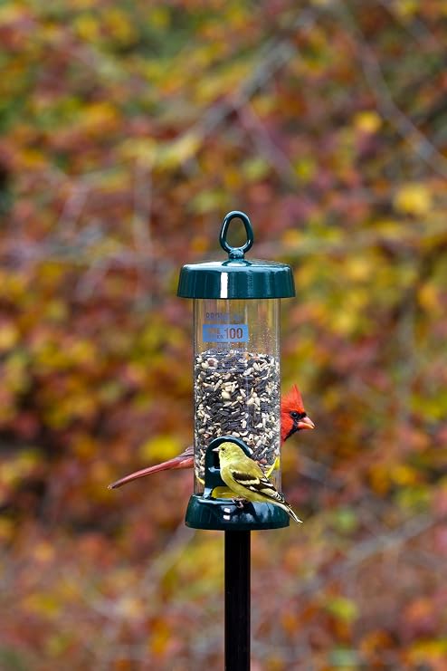 Brome Tube100 Wild Bird Feeder, Metal 2 Seed Ports, 1.7 lb Capacity, Extra-Wide Perches, Easy to Fill & Clean, Pole-Mountable, Seed Tray Available