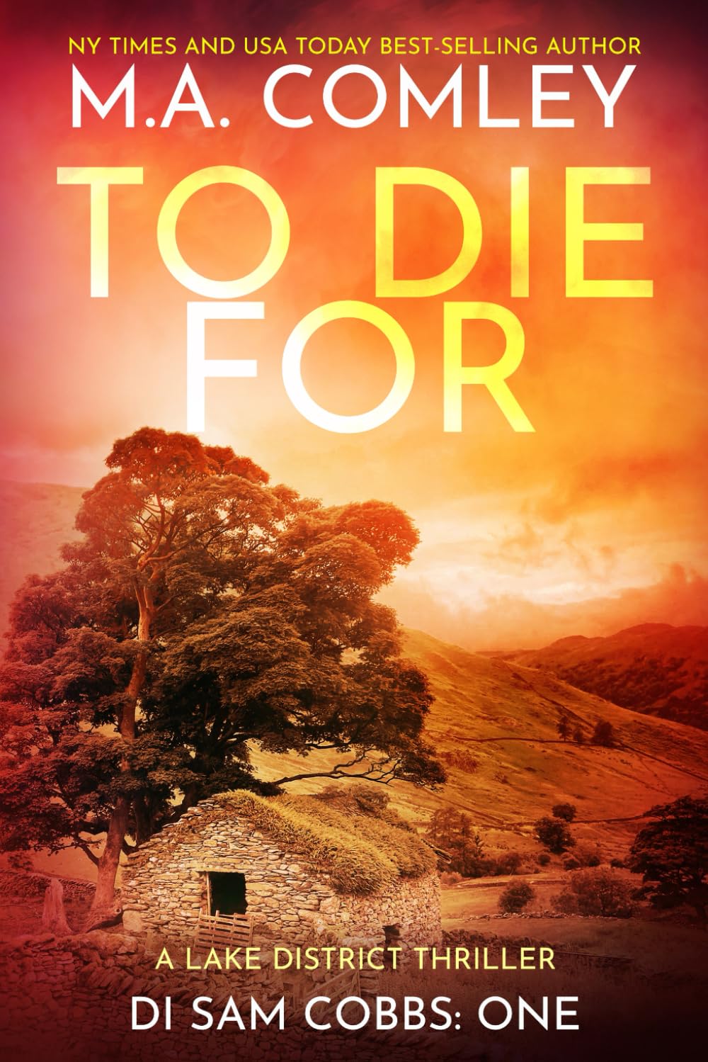 To Die For (DI Sam Cobbs)
