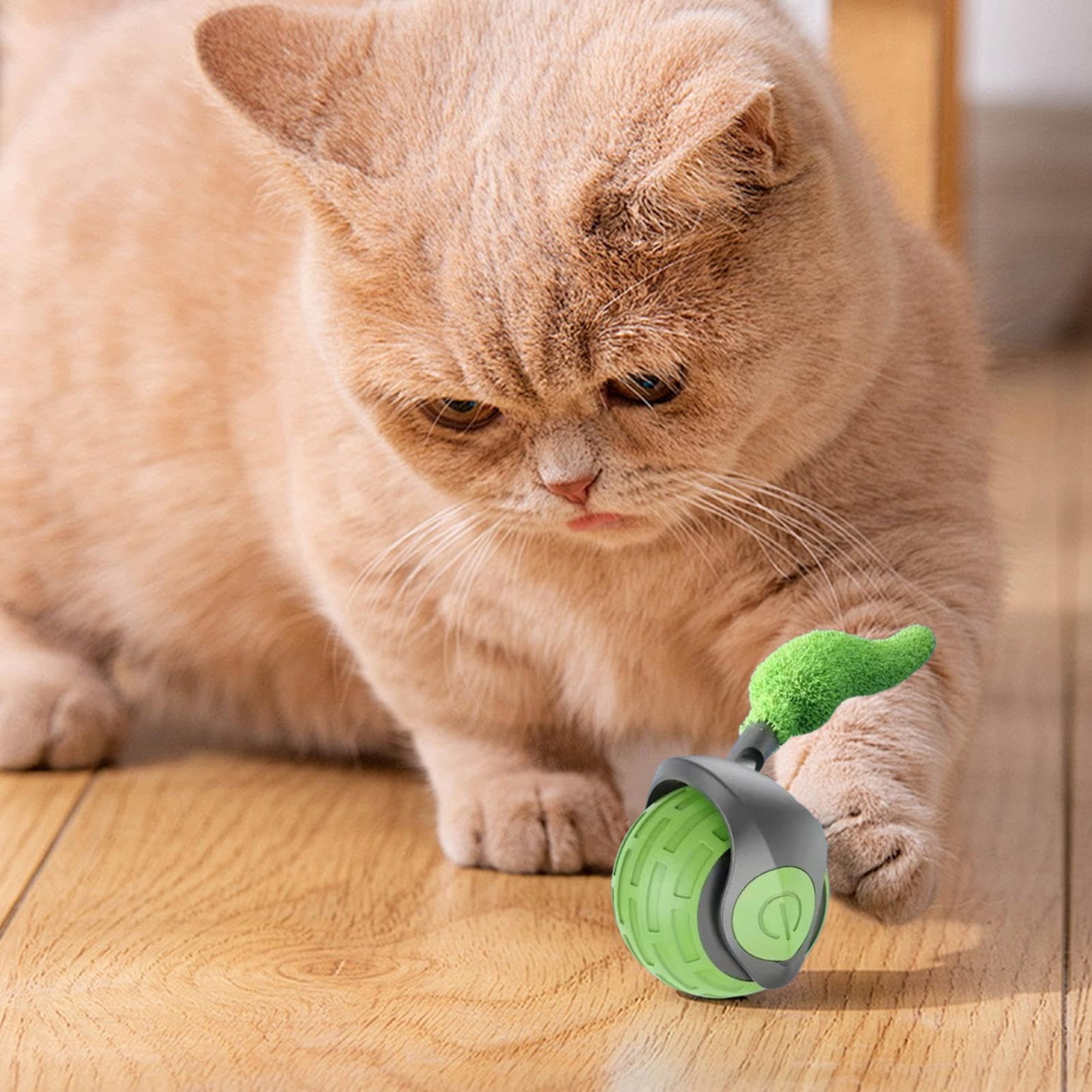 Juguetes para Gatos， Juguete automático de Bola rodante for Gatos con Ajuste 2 velocidades, Suministros estimulación for Gatitos y Mascotas(Green)