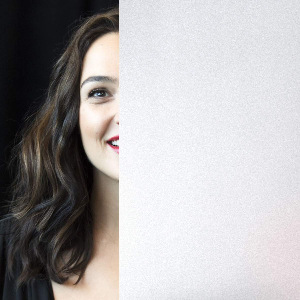 HIDBEAFrosted Window Film - Removable Glass Coating Sun Blocking Static Opaque Vinyl for Bathroom Office, Frosted White, 35.4 x 98.4 inch