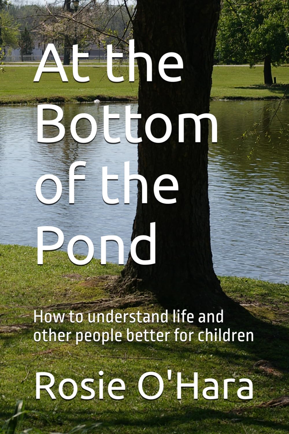 At the Bottom of the Pond: How to understand life and other people better for children