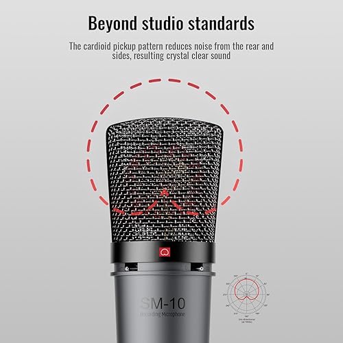 Miniatura 3 de TAKSTAR XLR - Micrófono de condensador cardioide, SM-10 de 1.339 in, micrófono de estudio de grabación de diafragma grande con soporte de choque,