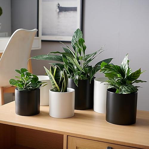 Miniatura 7 de Macetas de cerámica negra de 5.1 pulgadas para plantas de interior y exterior, maceta con orificio de drenaje, macetas modernas mate para oficina en