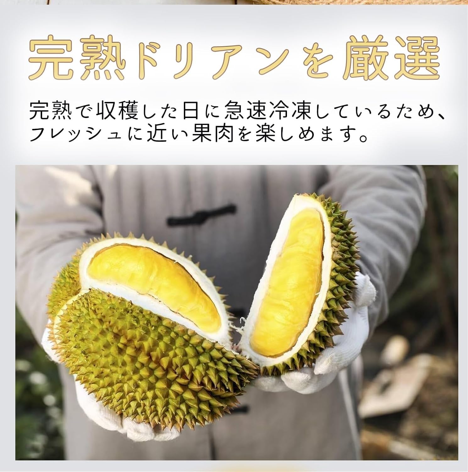 Amazon | フローズン ドリアン ドリアン500g×8個セット フルーツの