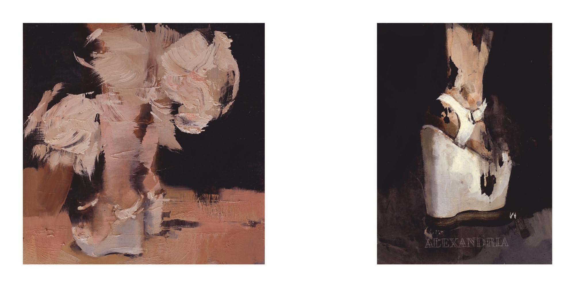 The Ashley Wood Library - Investigation 3
