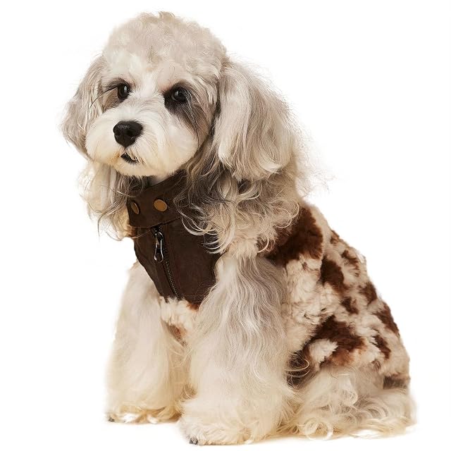 UOSIA Chaqueta de Invierno para Perros, Chaleco para Perros pequeños