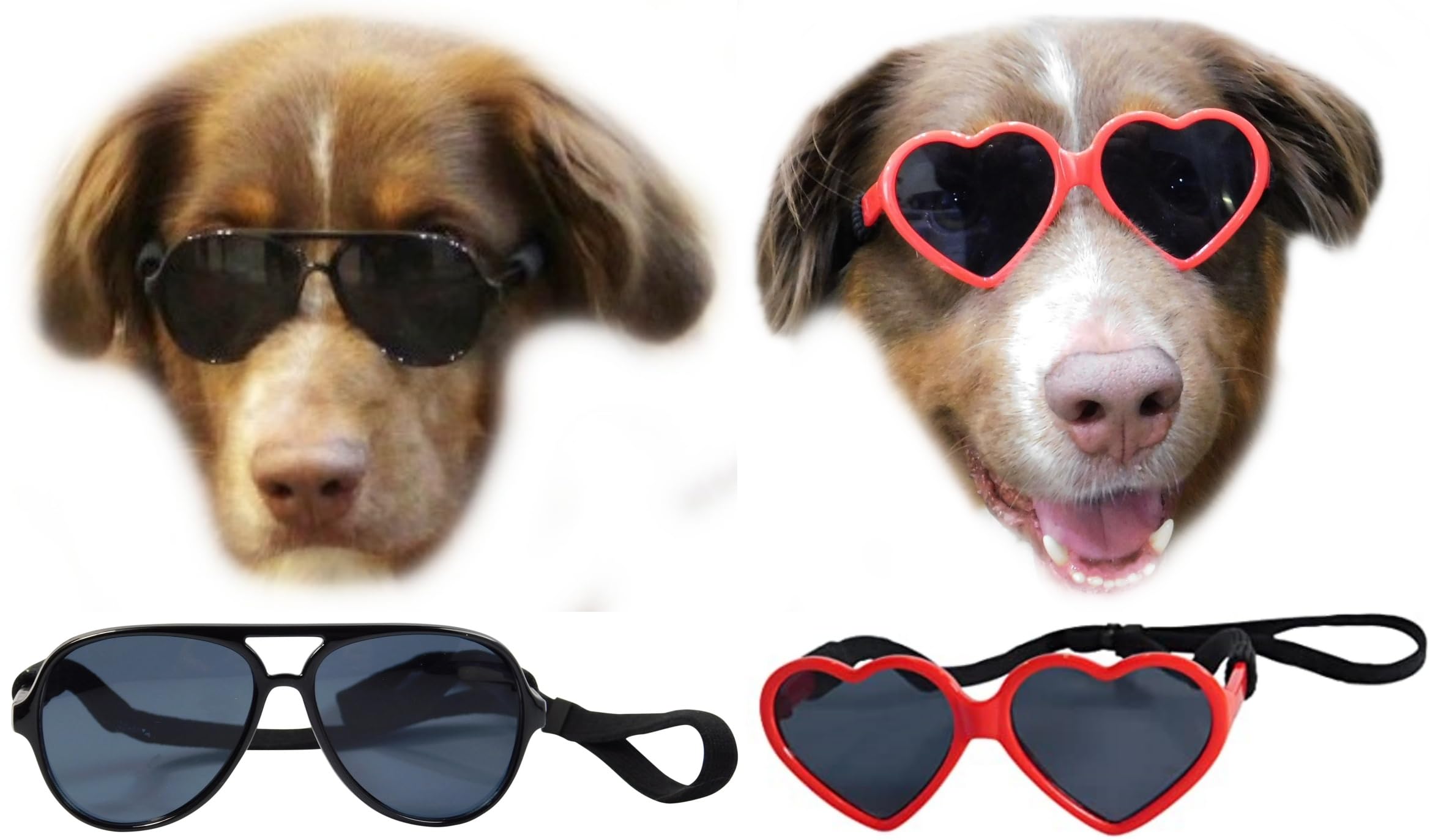 Lunettes de soleil pour chien aviateur et cœur pour les balades