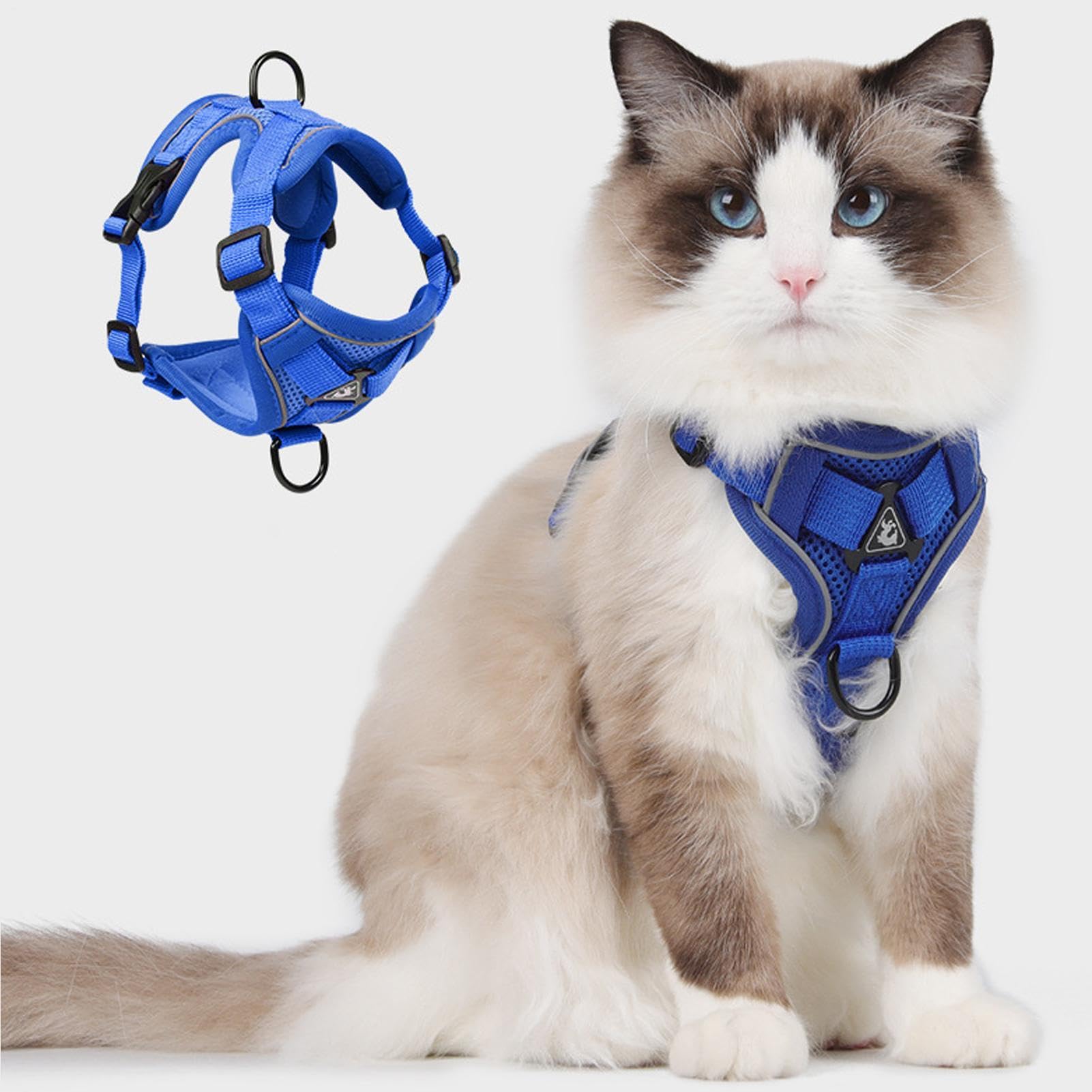 Pettorina Per Gatto Gilet In Mesh Traspirante Antifuga Regolabile Con | Guinzaglio Robusto Per Outdoor Passeggiate Avventura Quotidiana