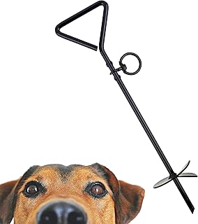 Dog leash stake beach Clearance