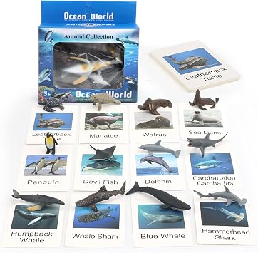 Small Montessori Animal Figures with Flash Cards, Realistic Animal Figurines Toys, Montessori Materials Homeschool Preschool Science Educational Matching Game for Toddler Kids Sea
