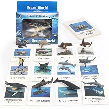 Small Montessori Animal Figures with Flash Cards, Realistic Animal Figurines Toys, Montessori Materials Homeschool Preschool Science Educational Matching Game for Toddler Kids Sea
