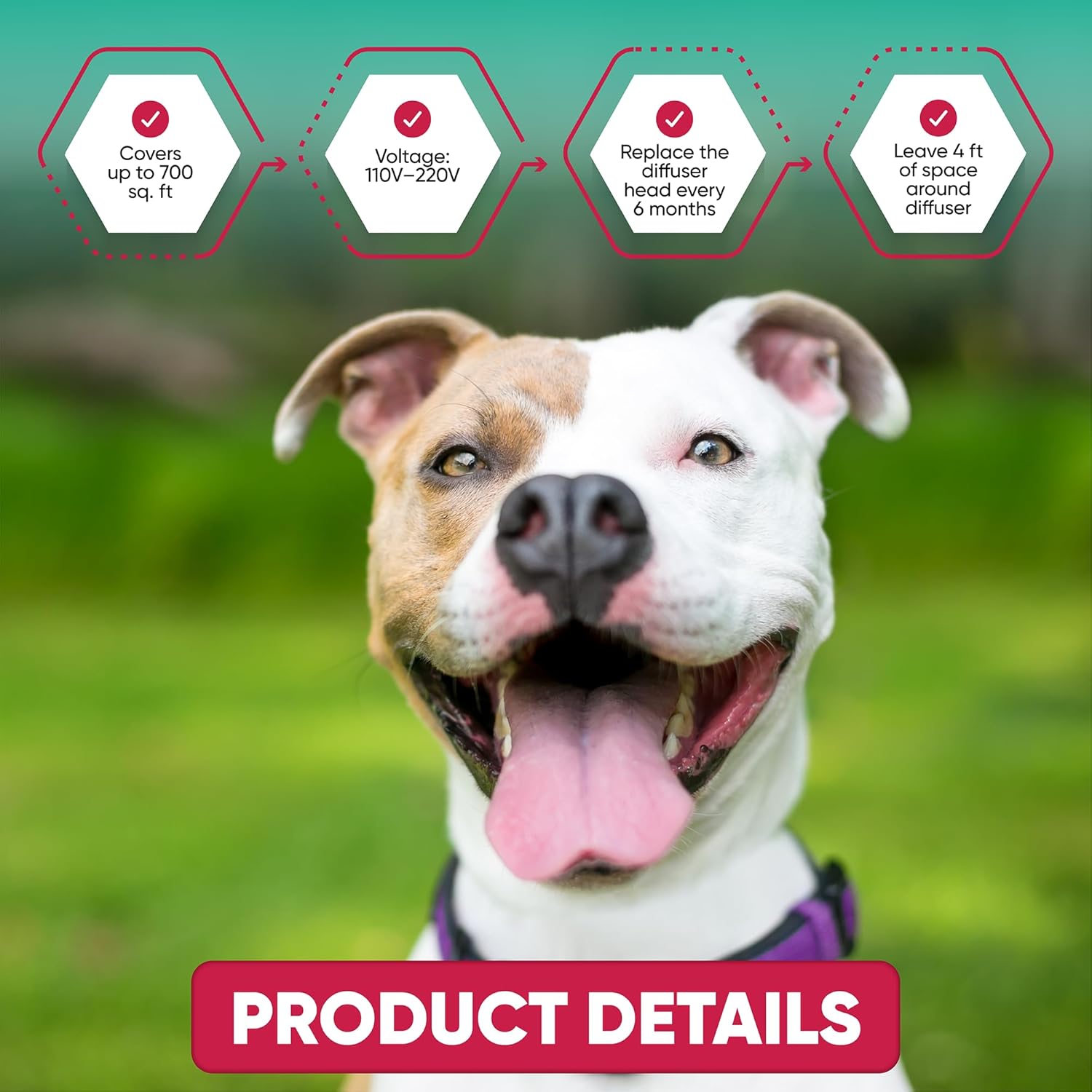 Calming Diffuser for Dog: Appeasing Dog Pheromones Calming Diffuser Plug in Kit for Separation Anxiety, Stress Chewing, Peeing Accidents, 2 Diffusers + 2 Refills