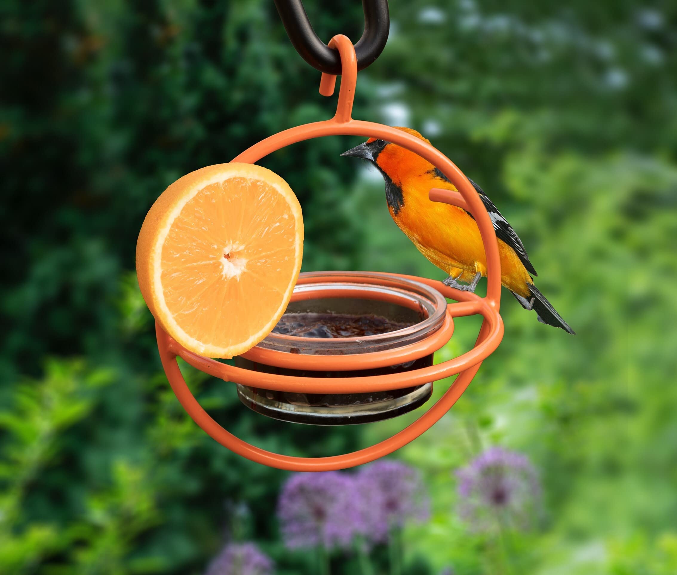 Monarch Abode Comedero Colgante para pájaros Oriole al Aire Libre, Naranja, 18748