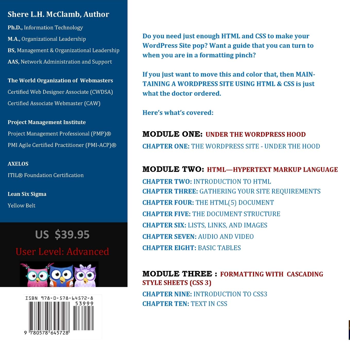 MAINTAINING A WordPress Site Using HTML & CSS: The Advance Guide: A Guide for Formatting and Styling a WordPress Site (Building Websites, Band 3)