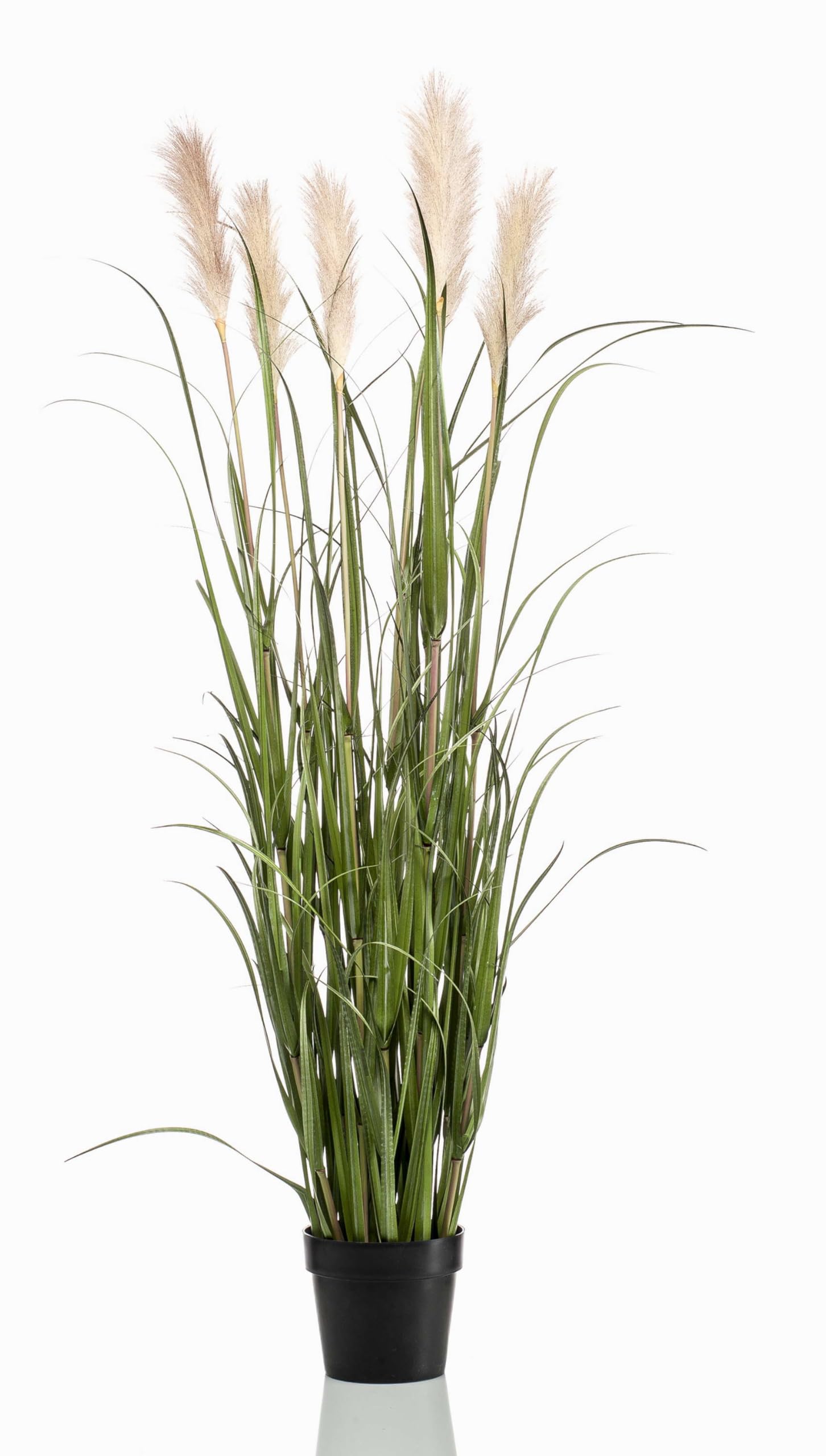 artplants.de Herbe de la Pampa Artificielle Alcantara, Vert, 160cm