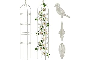 Elegant White Steel Trellis: A Graceful Haven for Climbing Beauties