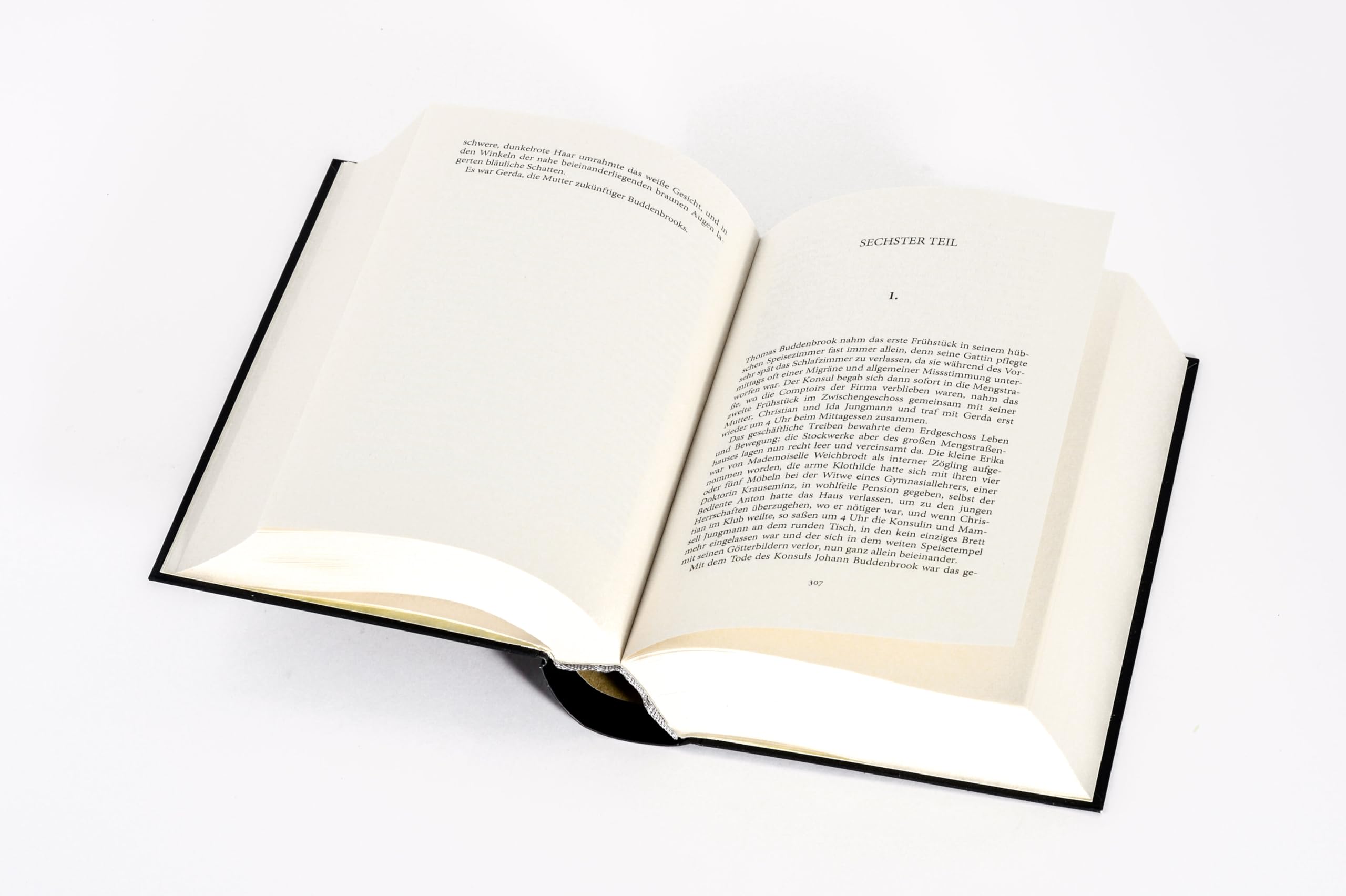 Buddenbrooks. Verfall einer Familie. Roman: Manns legendärer Debütroman, der ihm den Literaturnobelpreis einbachte
