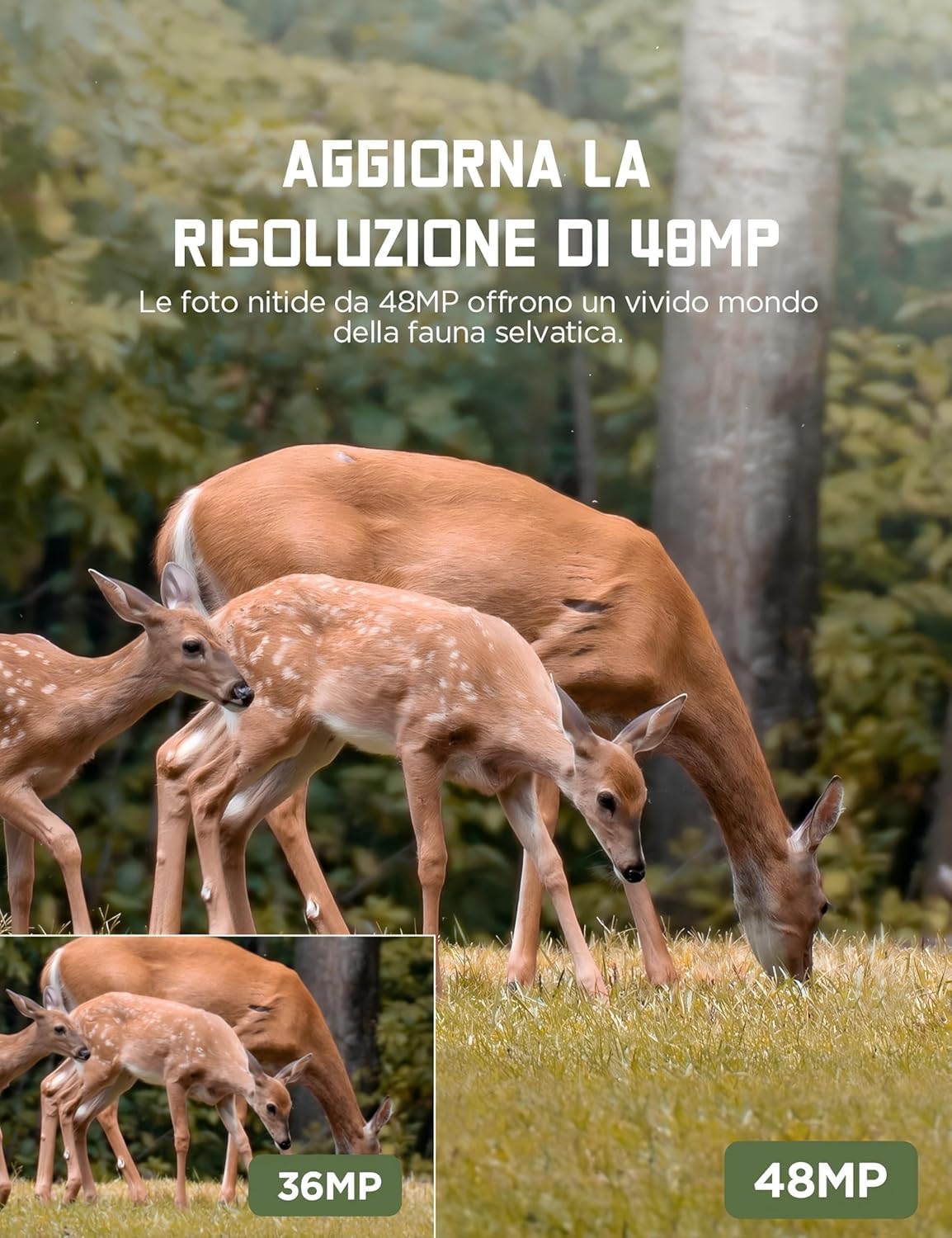 CEYOMUR Fototrappola 48MP 4K 30fps, Fotocamera caccia con IR Visione Notturna, Timer e Design Impermeabile IP66 con scheda SD da 32GB e batterie per la Caccia e l'osservazione la Fauna