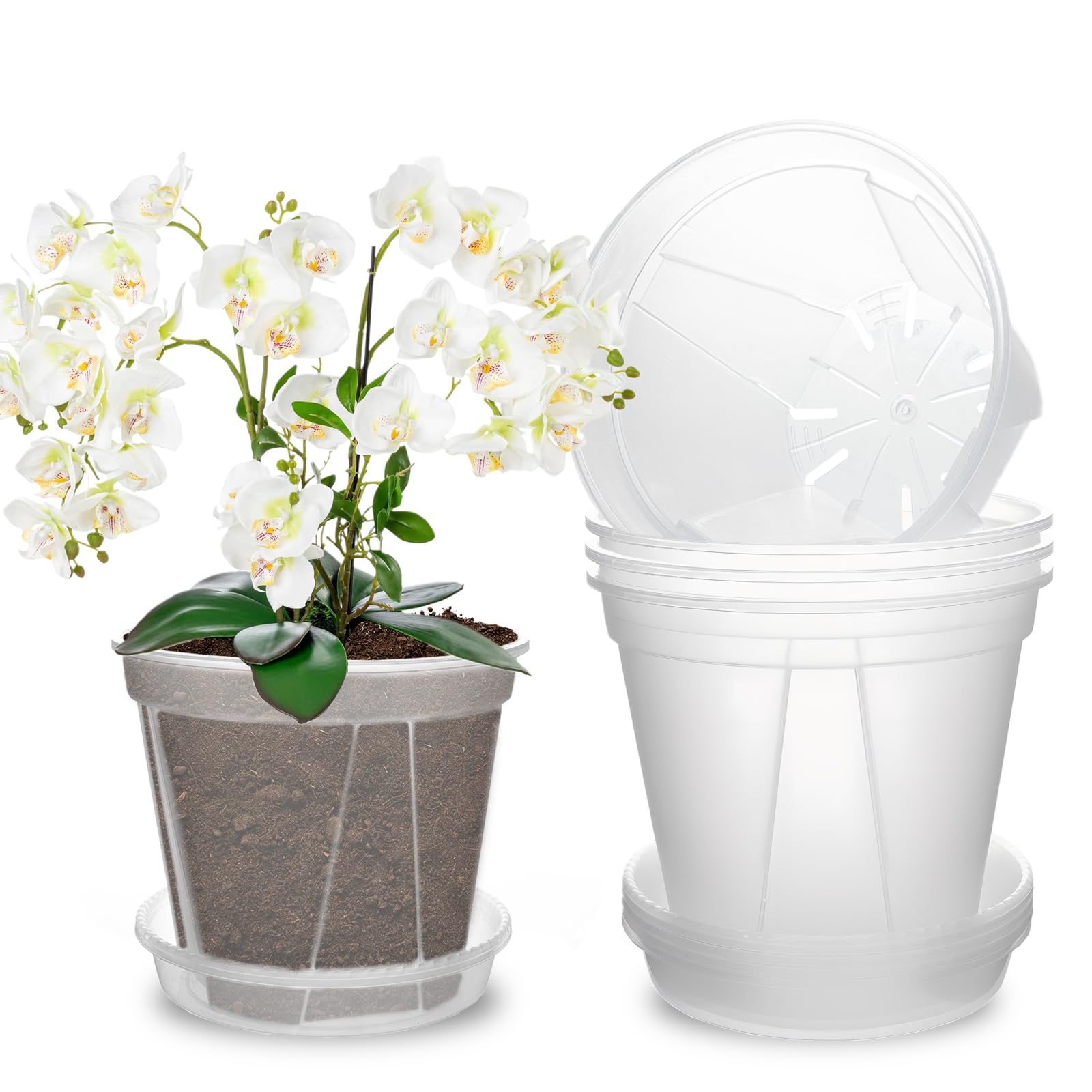 5 macetas transparentes para orquídeas, 15,24 cm, con agujeros y platillos, orquídeas para interior y exterior, balcón, escritorio