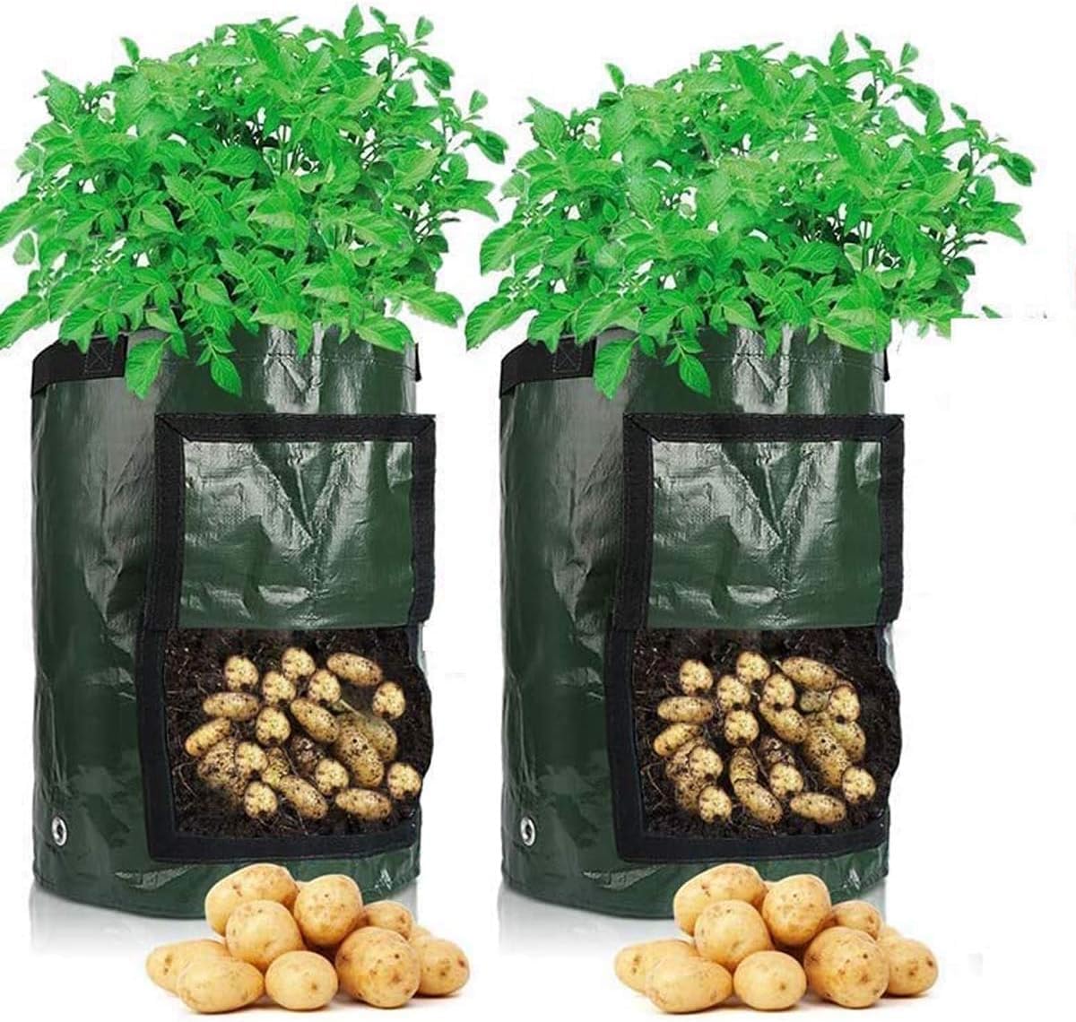 Cefrank 7-Gallon Potato Growing Bags, 50 L (7 Gallon), 34 X 35Cm, Planter Bags With Flap Window And Handle, Grow Vegetables: Potato, Carrot, Tomato, & Onion (2-Pack)