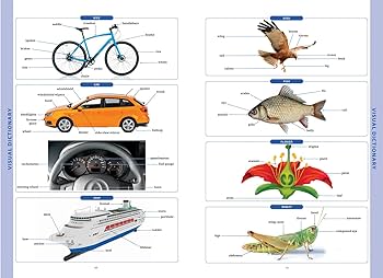 Collins COBUILD Advanced American English Dictionary: for