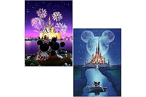 Ecdivjs Disney Diamond Dotz Art Kits for Adults