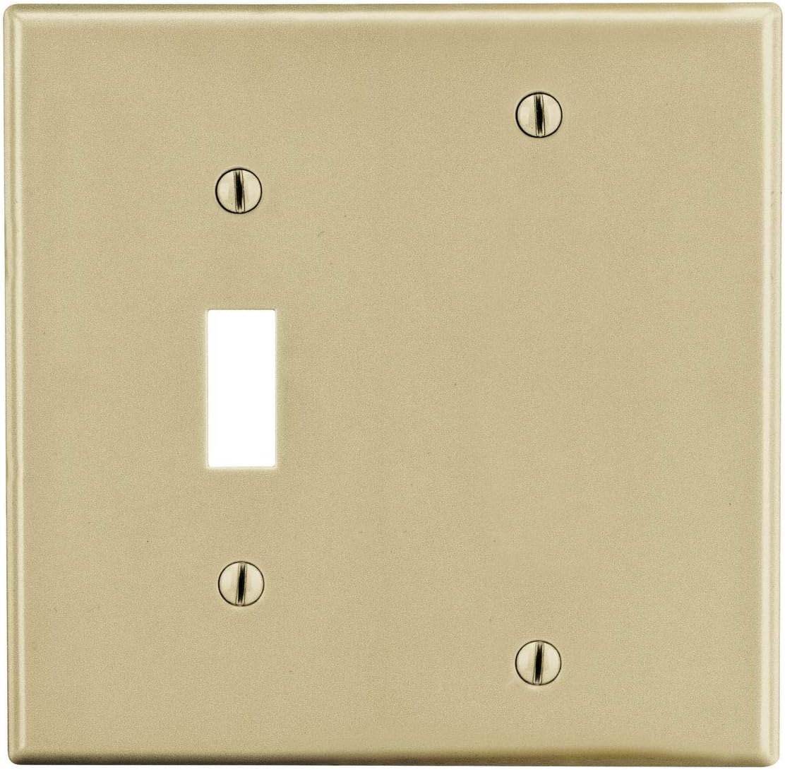 Bryant Electric P113W 2-Gang Toggle and Blank Wallplate, White