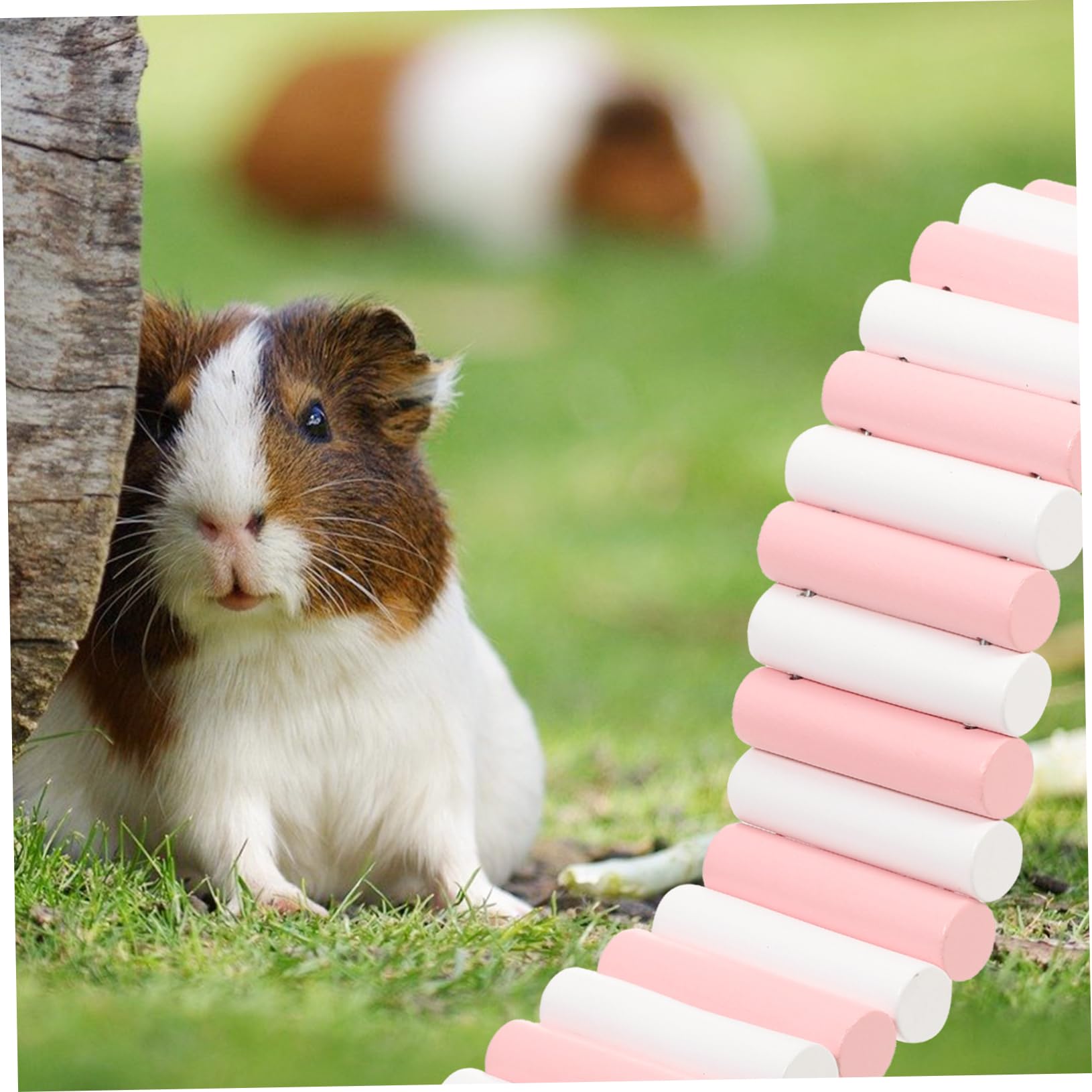 HANABASS Hanging Hamster Swing Toy Cork Ladder Decorative Pet Accessory Ideal for Small Pets 2 Colors