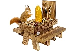 Squirrel Picnic Table Feeder: Delightful Dining for Your Backyard Friends