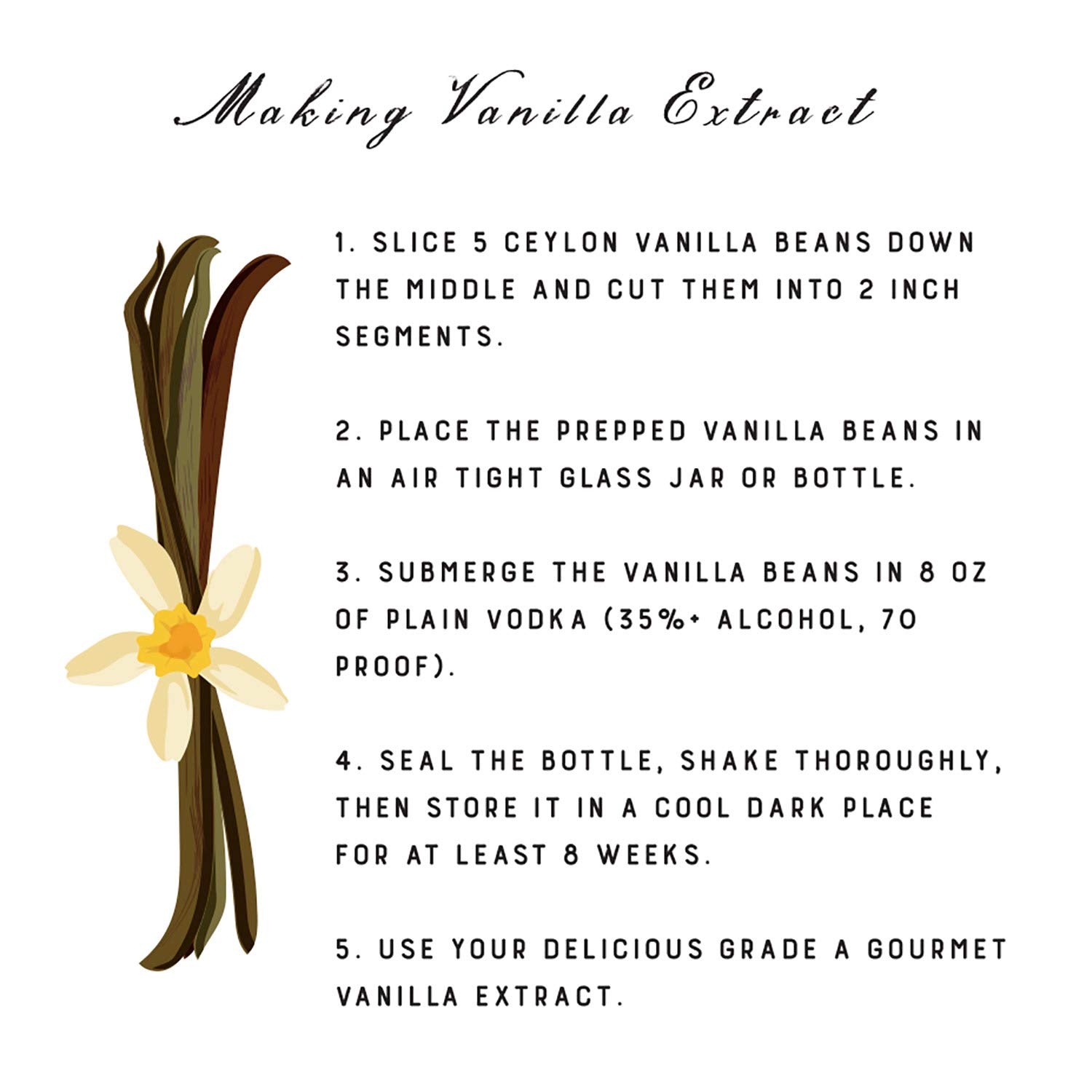 Organic Vanilla Beans (Grade A Gourmet) | Extra Large 8" Inches | Perfect Extracts, Baking, Cooking | Resealable 10 Pack | Premium Quality Culinary, Aroma, Freshness | Ceylon's Finest Vanillin