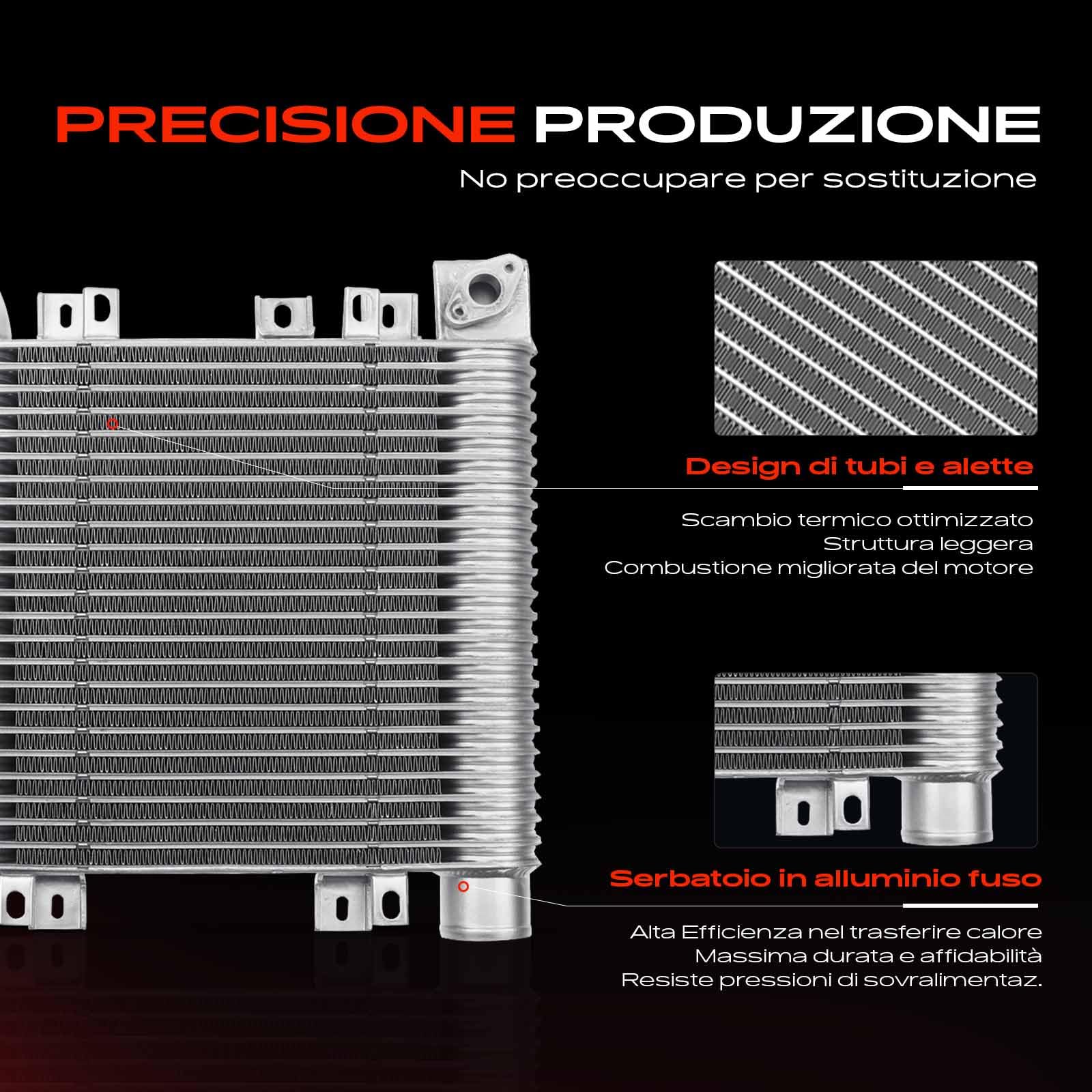 Frankberg Intercooler Compatibile con Santa Fé II CM 2.2 CRDi 4x4 Santa Fé II CM 2.2 CRDi Santa Fé II CM 2.2 CRDi GLS Santa Fé II Furgone/SUV CM CRDi 4x4 Santa Fé II CM 2.2 CRDi GLS 4x4 28271-27800