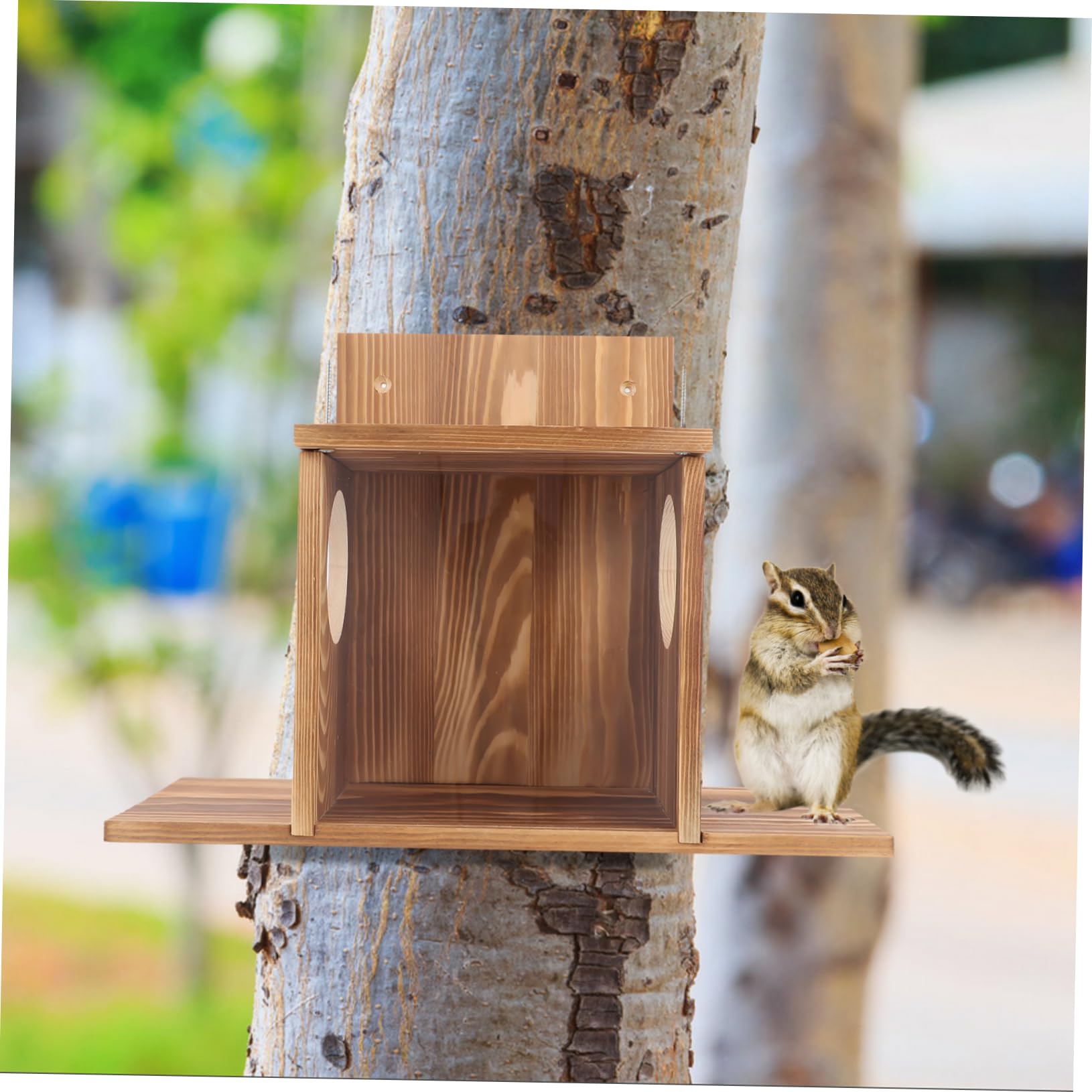 Mangiatoia per Scoiattoli in Legno da Esterno, Sospesa | Casa per Scoiattoli e Criceti, Design Semplice Creativo, Facile da Pulire