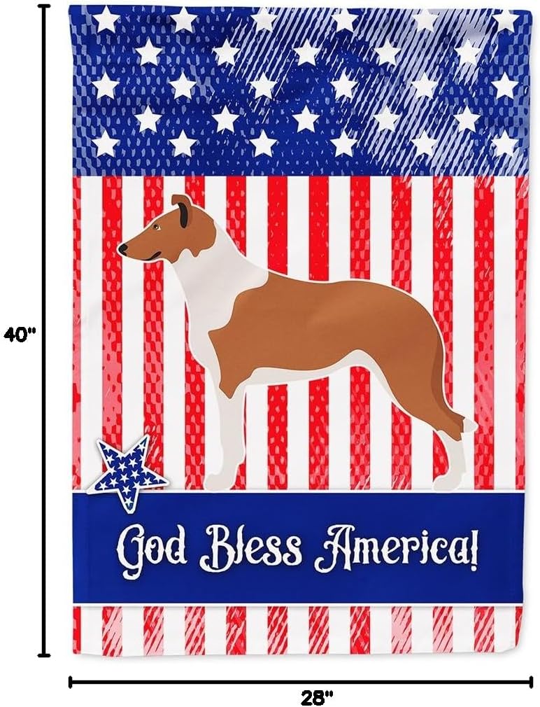 Caroline's Treasures BB8423CHF Smooth Rough American House Flag Large Porch Sleeve Pole Decorative Outside Yard Banner Artwork Wall Hanging, Polyester, House Size, Multicolor
