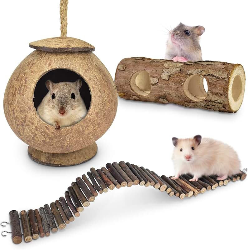 hamster toys for real hamsters hamster toys for real hamsters