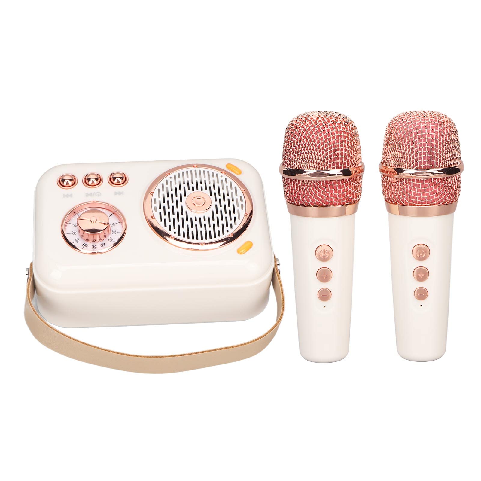 Wielofunkcyjne Urządzenie do Karaoke, Wzmocnione Basy 6 Trybów Przenośny System Głośników PA Bluetooth z Mikrofonem dla Dzieci i Dorosłych