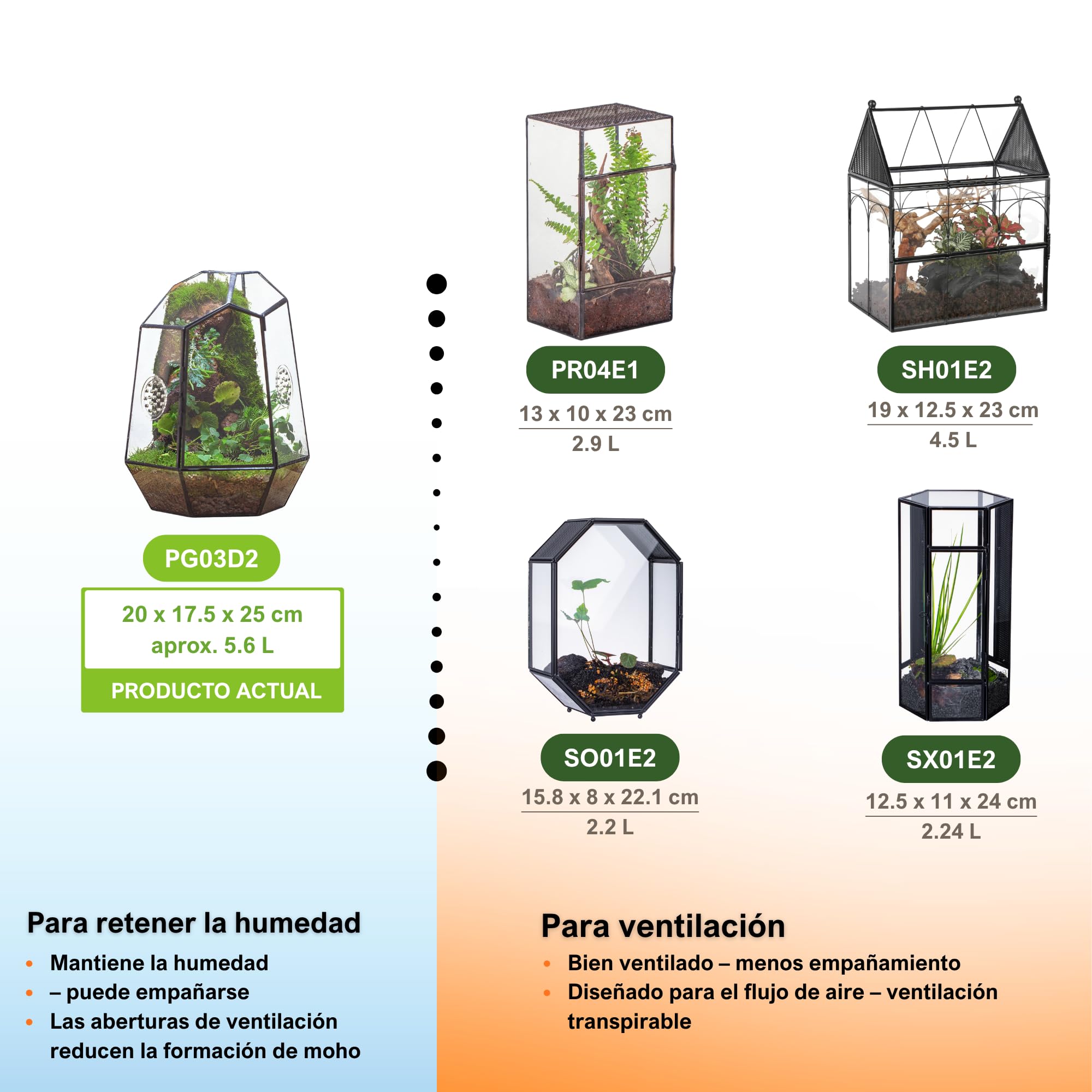 NCYP Recinto geométrico Cerrado de Vidrio con Puerta de Apertura Frontal y 2 Agujeros de ventilación para Insectos, suculentas, 20x17,5x25 cm (Solo terrario, sin Plantas)