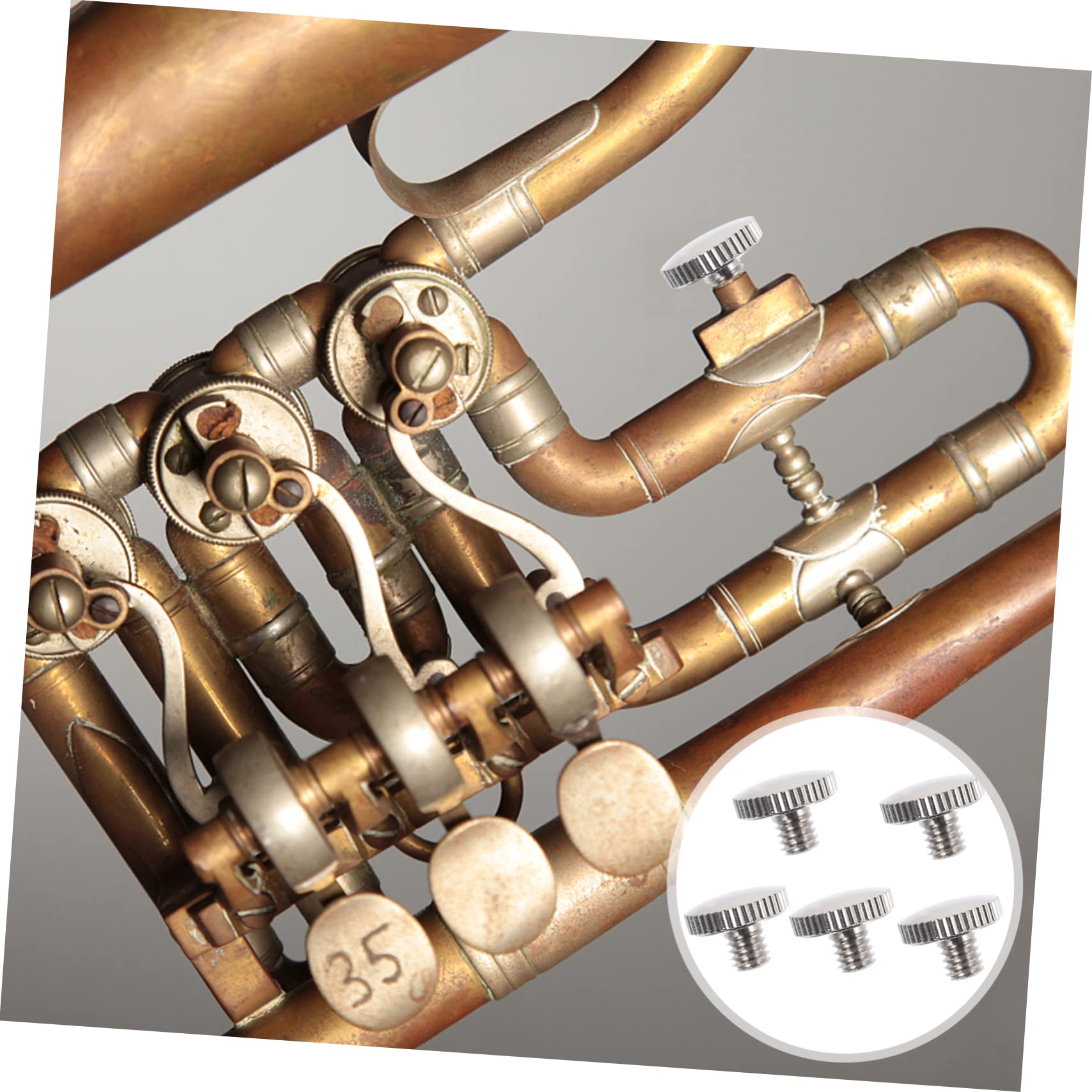 Toyvian 5 Stk Kleine Schraube Eine Armatur Trompete Lyra Schraube Gleitfingerschraube Musical Schraubknopf Für Trompete Trompetenringschraube Halter Legierung Schrauben