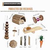 Ver la foto 2