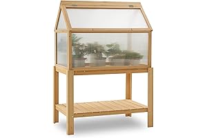 MCombo Cold Frame Greenhouse: Indoor Haven for Plant Thriving