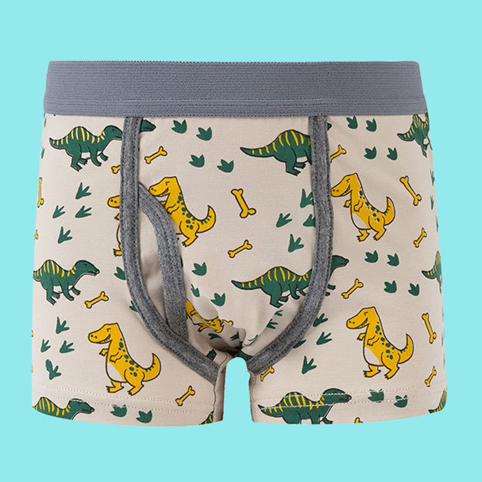Boxer Pantalons Dinosaure Dessin Animé Enfants Garçons Culottes Plates Slip Sans Couture Ensemble 5 Pièces
