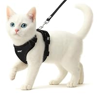 Harnesses