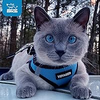Vista 11 de Best Pet Supplies - Arnés de malla para todo tipo de clima, reflectante, antitirones, para perros y gatos pequeños y medianos, con velcro, hebilla