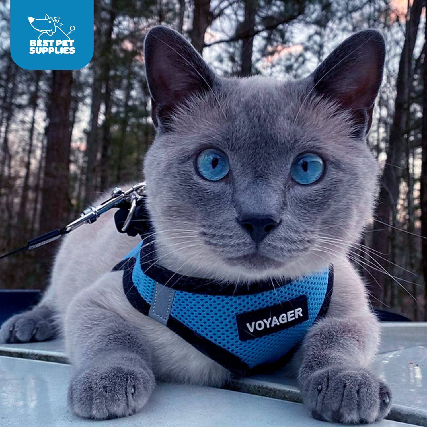 Voyager Step-In Air uprząż dla psa Best Pet Supplies - All Weather Mesh Step in Vest Harness dla małych i średnich psów, niebieska/czarna krawędź, rozmiar S - klatka piersiowa 37-40 cm