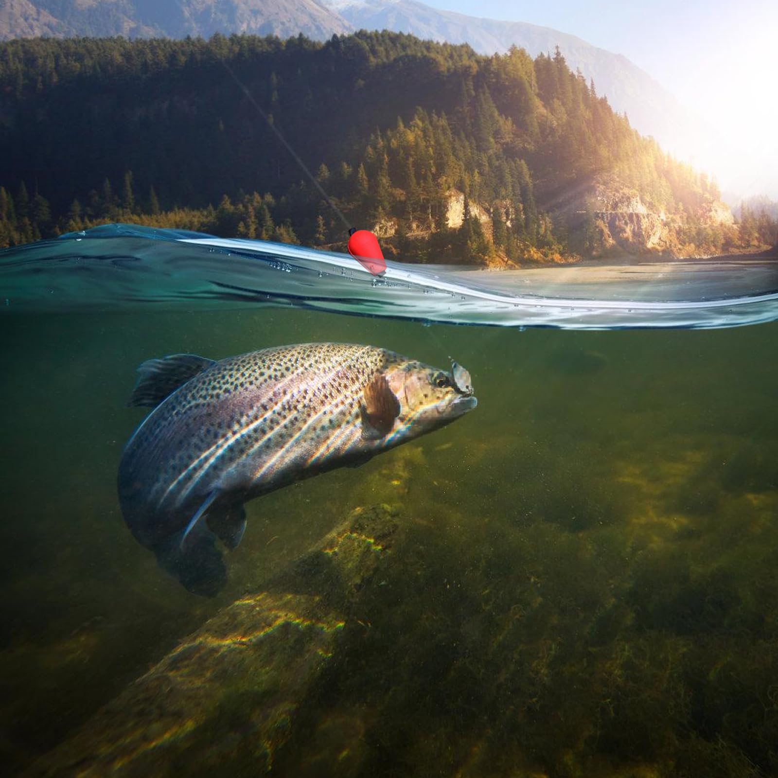 Zkbszn 5pcs Floating Bobbers Water Droplets Indicators Fishing Bobbers for Saltwater Strikes Indicators Float Fly Fishing Float