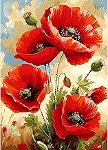 QQYRHN 5D DIY Poppy Flower Diamond Painting Kits, Complete Red Flowers Diamond Painting for Adults, Beginners, Diamond Art, Home Wall Decoration, Diamond Painting with 30 x 40 cm